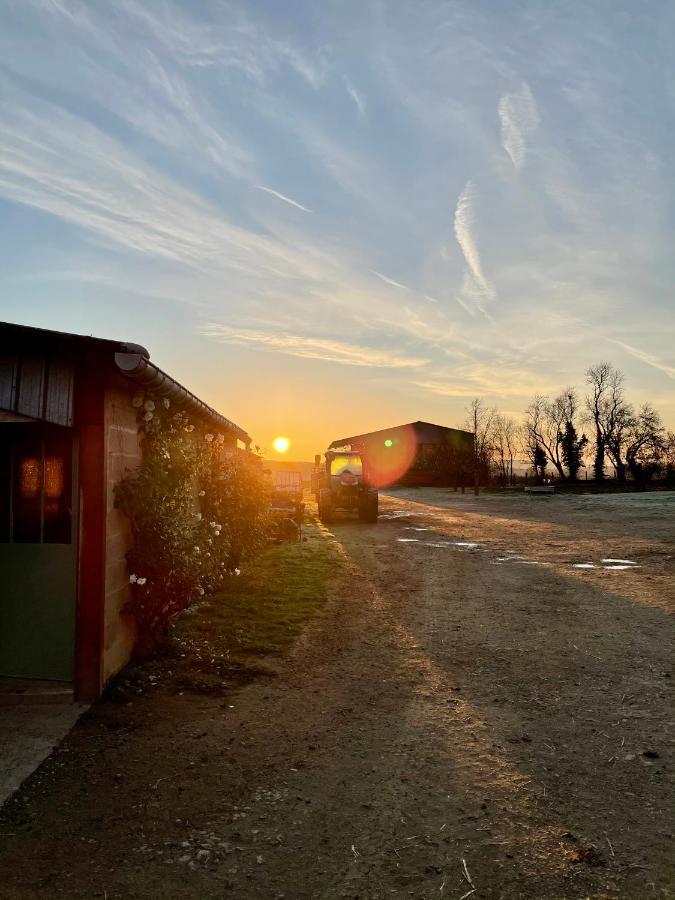 Chambre A La Ferme Precy-le-Sec 外观 照片
